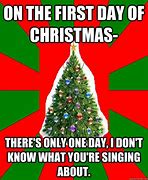 Image result for 12 Days of Christmas Birds Meme