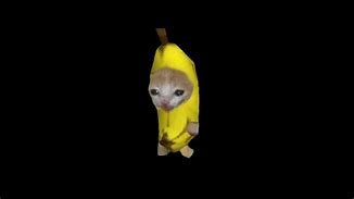 Image result for Banana Cat Text Meme