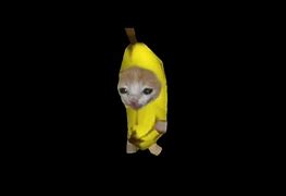 Image result for Cat in Banana Suit Meme
