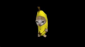 Image result for Banana Cat Funny