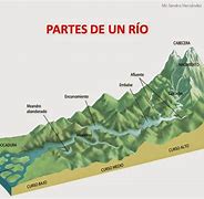 Image result for Partes De Un Rio