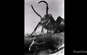 Image result for Them Giant Ants