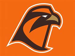 Image result for Falcon Bird Logo