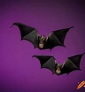 Image result for Hammerhead Bat