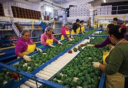 Image result for Agricultural Processing