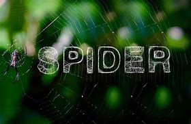 Image result for Spider Text