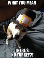 Image result for Dog Thanksgiving 2019 Memes