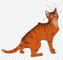 Image result for Firestar Cat