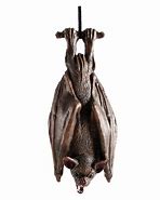 Image result for Halloween Bat Standing