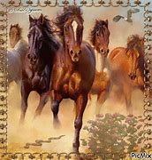 Image result for Wild Horses Desktop Wallpaper