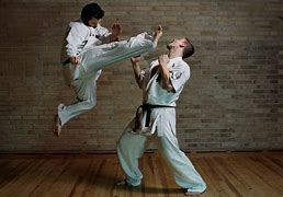 Image result for Karate Martial Art