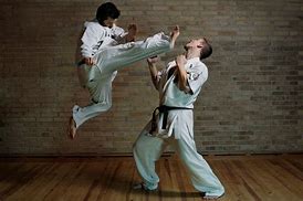 Image result for What Is Karate