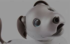 Image result for Sony Aibo First Generation