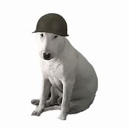 Image result for Tactical Doge Meme