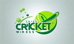 Image result for Who Owns Cricket Wireless