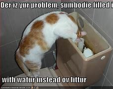Image result for Duty Cat Box Memes