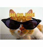 Image result for See You Soon Cat Meme