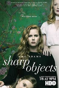 Image result for No Sharp Objects