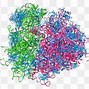 Image result for RNA to cDNA