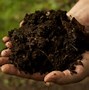 Image result for Reusing Potting Soil
