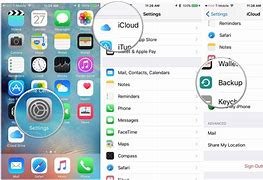 Image result for iPhone 15 Pro Max Back