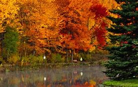 Image result for New Brunswick Fall