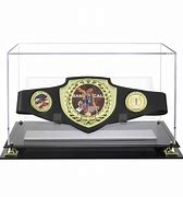 Image result for WWE Championship Belt AirPod Case