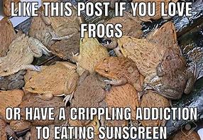 Image result for Frog and Toad Gay Meme
