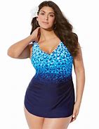 Image result for Plus Size Swimsuits 6X