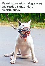 Image result for Dog Owner Meme