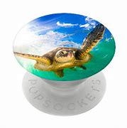 Image result for Turtle Popsockets