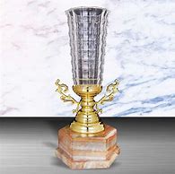 Image result for Silver Trophies
