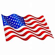 Image result for Small American Flag Logo
