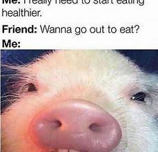 Image result for Eating Food Funny Meme