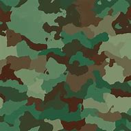 Image result for Kids Camouflage Hoodie