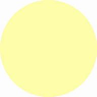 Image result for Light Yellow Circle