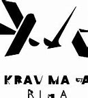 Image result for Krav Maga