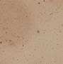 Image result for sepia background