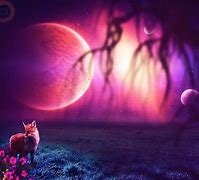 Image result for Galaxy Fox Pics
