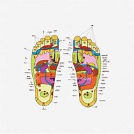 足底 的图像结果