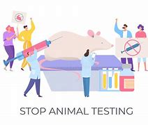 Image result for No Animal Testing Cartoon