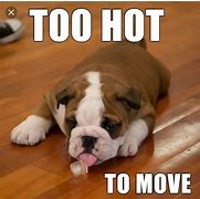 Image result for Funny Heat Memes