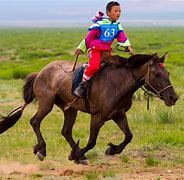 Image result for Di Haine Horse Racing