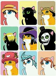 Image result for Zoro Cat Meme
