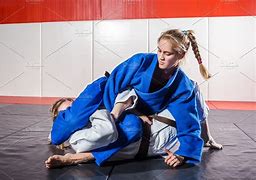 Image result for Martial Arts Women Fighting Men