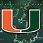 Image result for Miami Hurricanes Images