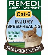 Image result for Cat 6-Speed