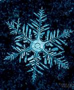 Image result for Coolest Snowflake