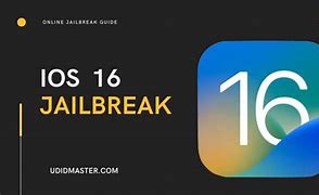 Image result for Jailbreak iOS 17