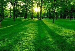 Image result for Natural Environment Wallpaper